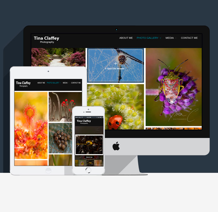 Tina Claffey - Photographer